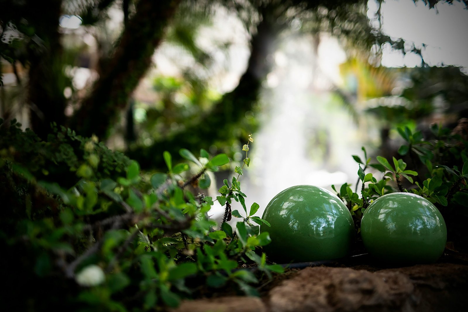 a couple of green apples sitting on top of a rock